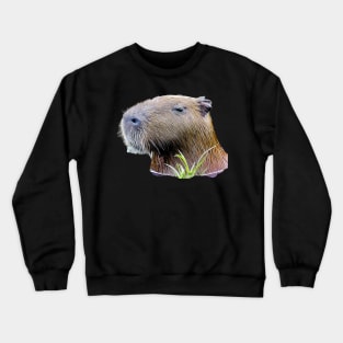 Capybara Crewneck Sweatshirt